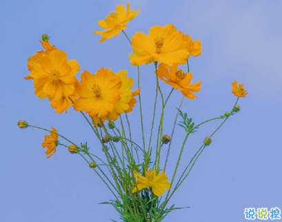 適合做書簽的隨手記錄的小句子 風(fēng)上是閃爍的星群1