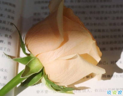 適合做書簽的隨手記錄的小句子 風(fēng)上是閃爍的星群2