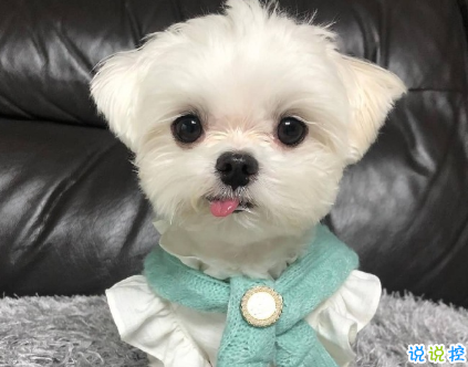 畢業(yè)季找工作憂心文案  找工作心態(tài)崩了的文案1