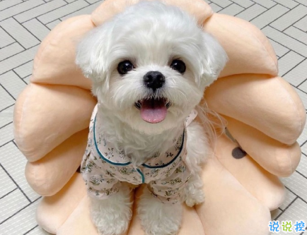 畢業(yè)季找工作憂心文案  找工作心態(tài)崩了的文案2