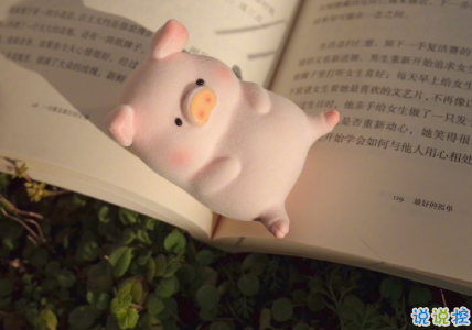 向往大海簡(jiǎn)短治愈朋友圈文案 描寫(xiě)大海的驚艷文案1