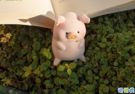 向往大海簡(jiǎn)短治愈朋友圈文案 描寫(xiě)大海的驚艷文案8