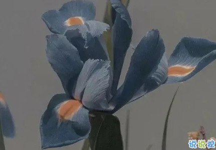 向往大海簡(jiǎn)短治愈朋友圈文案 描寫(xiě)大海的驚艷文案3