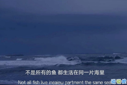 向往大海簡(jiǎn)短治愈朋友圈文案 描寫(xiě)大海的驚艷文案5