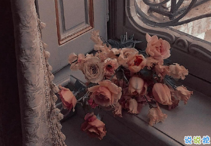 向往大海簡(jiǎn)短治愈朋友圈文案 描寫(xiě)大海的驚艷文案7