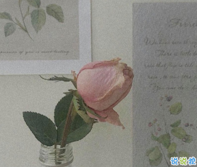 30歲女人微信置頂句子 讓自己努力變優(yōu)秀的句子1