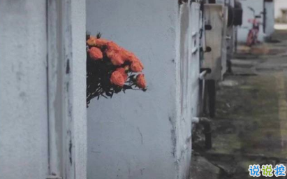 幽默搞笑說(shuō)說(shuō)很皮的朋友圈短句 做一個(gè)超級(jí)可愛(ài)的朋友圈文案人2