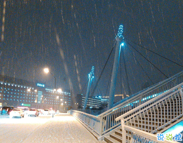 初雪的朋友圈說(shuō)說(shuō)怎么發(fā) 第一次下雪的可愛(ài)唯美句子2