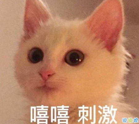 2020只剩40天朋友圈心情說說 迎接2021的心情說說1