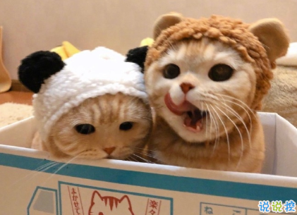 2021讓你覺得人間值得的溫柔說說 日日又長長感謝所有奇妙相遇2