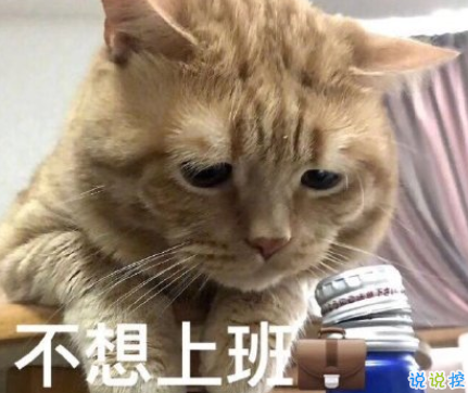 周一不想上班的心情說(shuō)說(shuō) 不想上班的有趣內(nèi)涵說(shuō)說(shuō)1