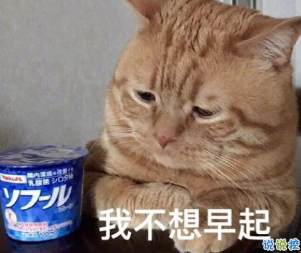 周一不想上班的心情說(shuō)說(shuō) 不想上班的有趣內(nèi)涵說(shuō)說(shuō)2