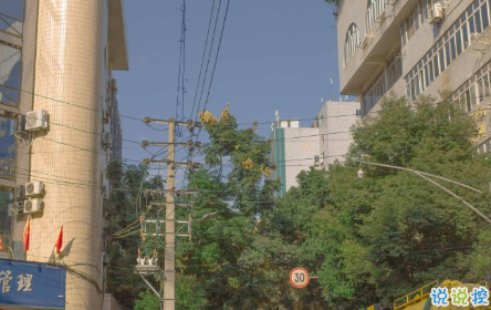  希望你能堅持下來勵志說說 最好的勵志就是堅持1