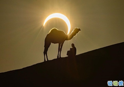 不想上班不想起床的有趣早安說說 聲聲皆相思早安1