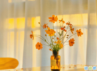 不想上班不想起床的有趣早安說說 聲聲皆相思早安8