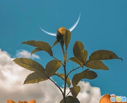 2021關(guān)于情緒的高級(jí)情緒文案 很A很激烈的情緒說(shuō)說(shuō)1