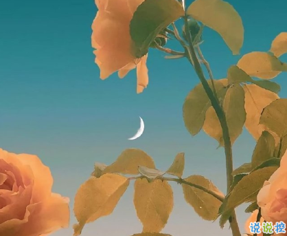 2021關(guān)于情緒的高級(jí)情緒文案 很A很激烈的情緒說(shuō)說(shuō)2