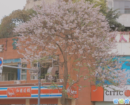 表白表達(dá)濃濃愛意的句子 含蓄卻很打動(dòng)人的句子2