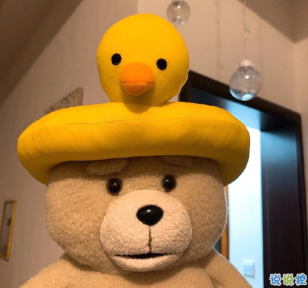 很酷的很有趣的沙雕朋友圈文案 讓人直呼太可愛的句子2