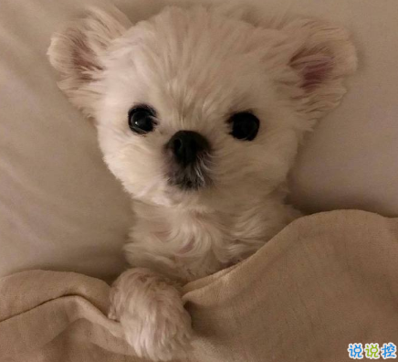 三觀很正值得被珍藏起來的溫柔句子 雙向的奔赴才有意我不說我等你來1