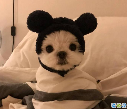 三觀很正值得被珍藏起來的溫柔句子 雙向的奔赴才有意我不說我等你來2