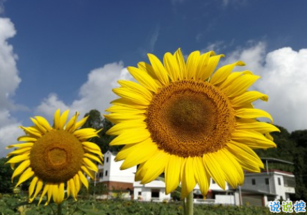 適合12月發(fā)的一些高情商短句 2020最后一個(gè)月發(fā)的的說說1