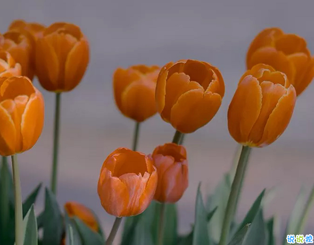 2020十二月的睡前朋友圈晚安心語 關(guān)于十二月的精辟正能量說說1