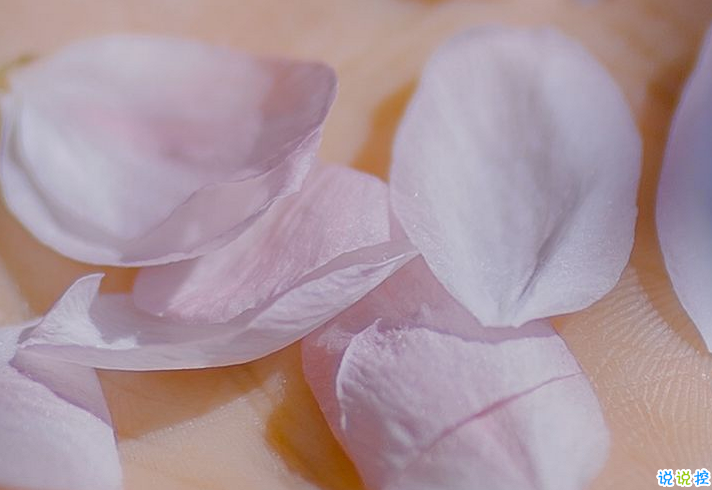 2020十二月的睡前朋友圈晚安心語 關(guān)于十二月的精辟正能量說說2