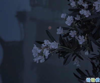 寫給2021的的勵(lì)志短句 鼓勵(lì)自己奮斗的短句2