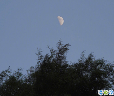 寫給2021的的勵(lì)志短句 鼓勵(lì)自己奮斗的短句3