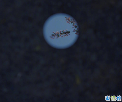 寫給2021的的勵(lì)志短句 鼓勵(lì)自己奮斗的短句4