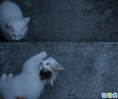 寫給2021的的勵(lì)志短句 鼓勵(lì)自己奮斗的短句5