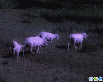 寫給2021的的勵(lì)志短句 鼓勵(lì)自己奮斗的短句11