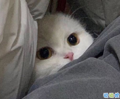 寫給2021的的勵(lì)志短句 鼓勵(lì)自己奮斗的短句12