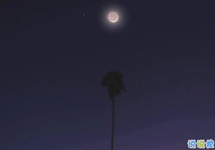 小紅書精選簡(jiǎn)單氣質(zhì)很溫柔的一句話說說 很簡(jiǎn)單的很有氣質(zhì)的一句話1