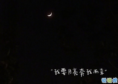 觸動(dòng)你的網(wǎng)易云音樂(lè)熱評(píng)文案 觸動(dòng)心靈的文案13