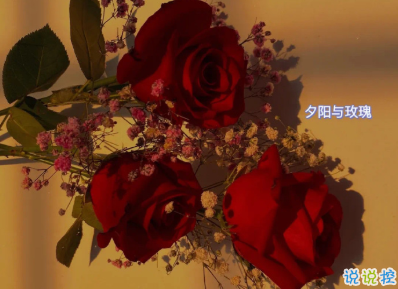 很有哲理的勵志說說帶圖片 2021正能量的經典說說4