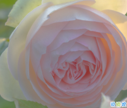 天冷發(fā)朋友圈搞笑說說帶圖片 降溫朋友圈最火文案2