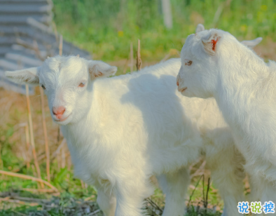 天冷發(fā)朋友圈搞笑說說帶圖片 降溫朋友圈最火文案4