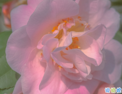 天冷發(fā)朋友圈搞笑說說帶圖片 降溫朋友圈最火文案5