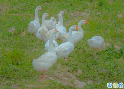 天冷發(fā)朋友圈搞笑說說帶圖片 降溫朋友圈最火文案7