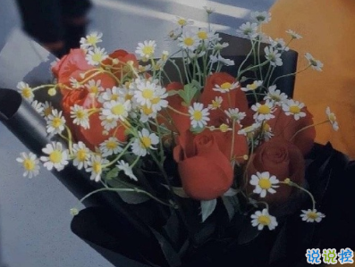 天冷發(fā)朋友圈搞笑說說帶圖片 降溫朋友圈最火文案9