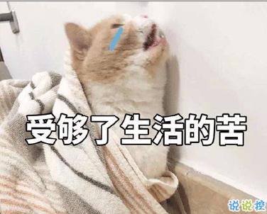 生活不易的說(shuō)說(shuō)心情句子2021 對(duì)生活的無(wú)奈和艱辛的感嘆句子2