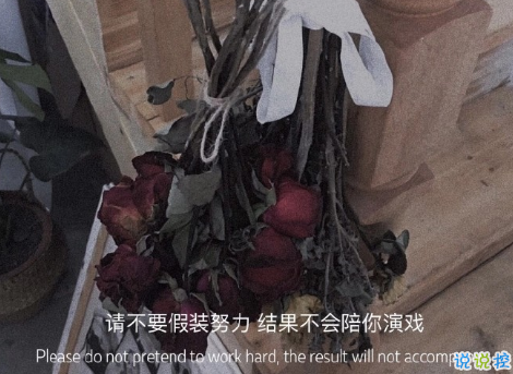 揭穿人生真相的經(jīng)典句子 值得深思的精辟語(yǔ)錄4