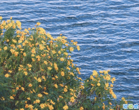 揭穿人生真相的經(jīng)典句子 值得深思的精辟語(yǔ)錄12