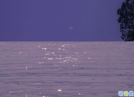 揭穿人生真相的經(jīng)典句子 值得深思的精辟語(yǔ)錄14