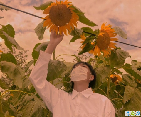 抖音一些和少年有關(guān)的文案 關(guān)于少年的驚艷時(shí)光的文案1