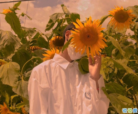 抖音一些和少年有關(guān)的文案 關(guān)于少年的驚艷時(shí)光的文案2