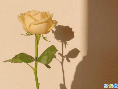 2021跨年夜發(fā)朋友圈的秀恩句子 跨年夜最甜美的愛情句子2