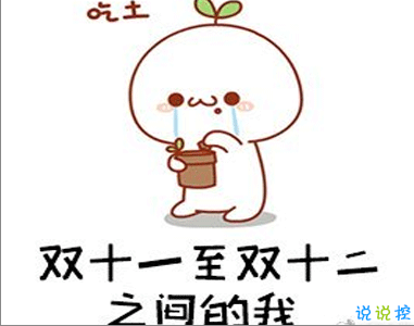 雙十二的剁手搞笑文案2020 2020雙十二朋友圈心情說說7